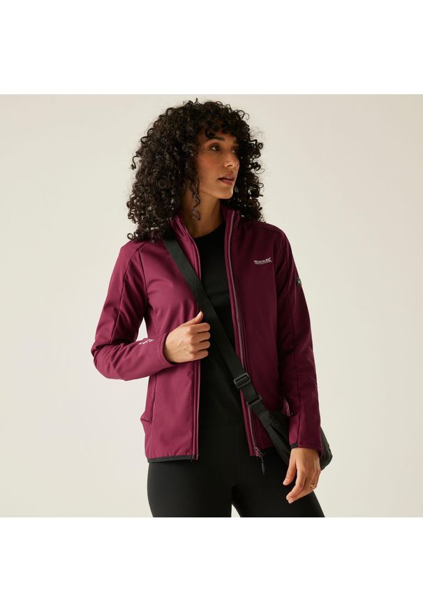 Regatta - Kurtka damska softshell wodoodporny Moutdale. Kolor: czerwony. Materiał: softshell. Sport: turystyka piesza