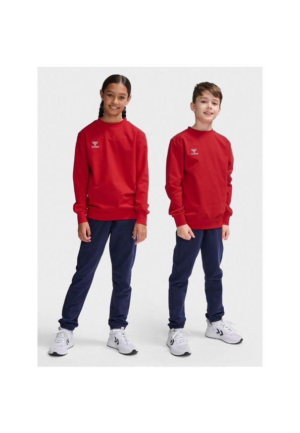 Bluza dziecięca Hummel Go 2.0. Kolor: wielokolorowy, czerwony, różowy. Sport: joga i pilates