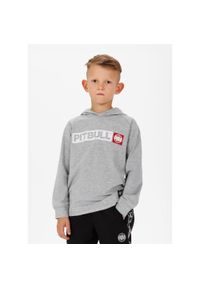 PITBULL - Longsleeve dziecięcy Pitbull z kapturem Hilltop. Typ kołnierza: kaptur. Kolor: szary. Długość rękawa: długi rękaw