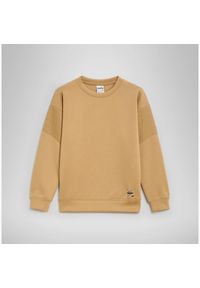 Diadora - Bluza damska DIADORA L. SWEATSHIRT CREW URBANITY XS. Kolor: beżowy #1