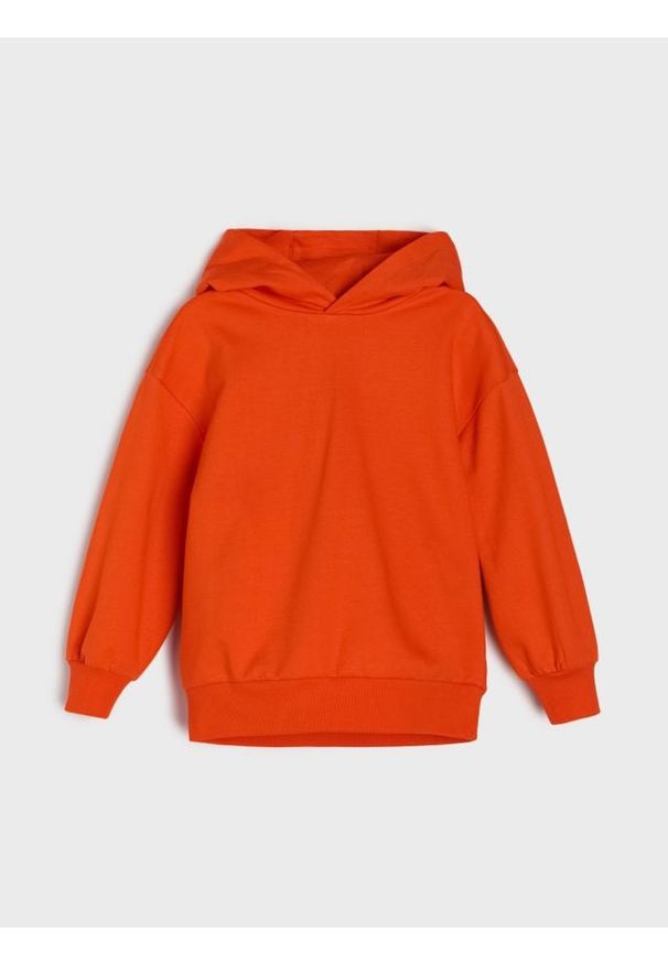 Sinsay - Bluza z kapturem w stylu basic - błękitny. Typ kołnierza: kaptur. Kolor: niebieski