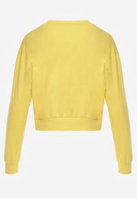 Renee - Żółta Bluza z Bawełną ze Ściągaczami przy Rękawach i w Pasie Alberia. Kolor: żółty. Materiał: bawełna #8