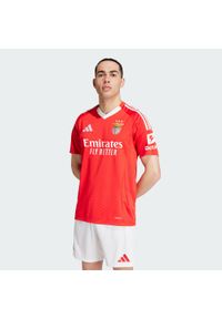 Adidas - Koszulka Benfica 24/25 Home. Kolor: czerwony. Materiał: materiał. Sport: piłka nożna