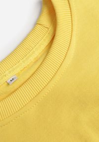 Renee - Żółta Bluza z Bawełną ze Ściągaczami przy Rękawach i w Pasie Alberia. Kolor: żółty. Materiał: bawełna #5