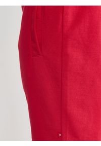 Big-Star - Szorty męskie dresowe czerwone Marque 603. Kolor: czerwony. Materiał: dresówka. Sezon: lato #5