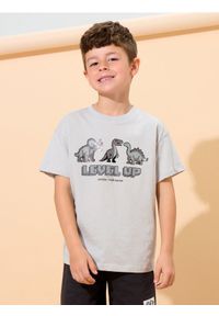 Sinsay - Koszulka z krótkim rękawem - szary. Kolor: szary. Długość rękawa: krótki rękaw. Długość: krótkie #1