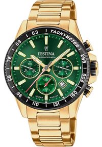 Zegarek Festina Zegarek męski Festina F20634-4 złoty. Kolor: złoty #1