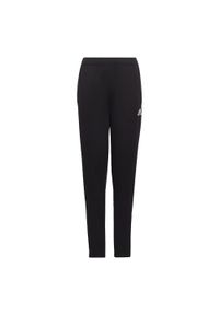 Spodnie treningowe Adidas Entrada 22. Kolor: czarny. Materiał: materiał. Sport: piłka nożna #1