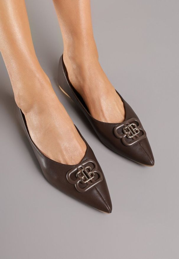 Renee - Brązowe Balerinki ze Szpiczastym Noskiem Zdobione Aplikacją Nalamira. Okazja: na co dzień, na spotkanie biznesowe. Nosek buta: szpiczasty. Kolor: brązowy. Wzór: aplikacja. Obcas: na obcasie. Styl: biznesowy, casual, klasyczny. Wysokość obcasa: niski