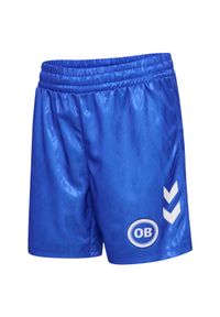 Hummel - Shorty dziecięce Odense Boldklub 2024/25. Okazja: do domu. Kolor: fioletowy, niebieski, wielokolorowy. Styl: sportowy #1