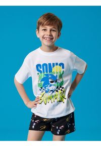 Sinsay - Szorty kąpielowe Sonic The Hedgehog - czarny. Kolor: czarny
