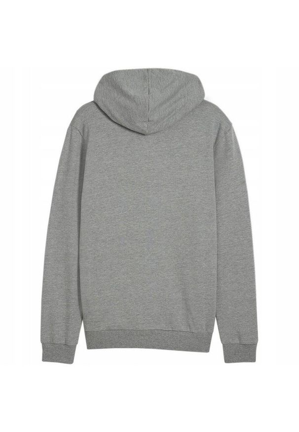 Puma - Męska Bluza Z Kapturem Team Goal Casual Full Zip. Typ kołnierza: kaptur. Kolor: szary