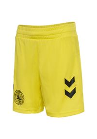 Spodenki bramkarskie dla dzieci Hummel DBU 24 GK. Kolor: żółty, czarny, wielokolorowy. Styl: młodzieżowy, sportowy #1