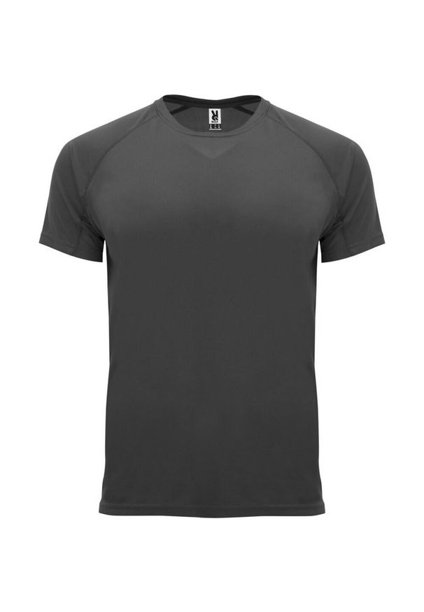 ROLY - Męska Koszulka Sportowa Z Krótkim Rękawem Bahrain. Kolor: szary, niebieski, wielokolorowy. Długość rękawa: krótki rękaw. Długość: krótkie. Sport: turystyka piesza