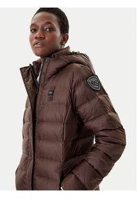 Blauer Płaszcz zimowy 25WBLDK03101 Brązowy Regular Fit. Kolor: brązowy. Materiał: syntetyk. Sezon: zima
