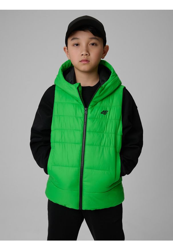 4f - 4F Bezrękawnik z wypełnieniem syntetycznym chłopięcy - zielony 128 (7-8 lat). Okazja: na uczelnię, na co dzień, na spacer. Typ kołnierza: kołnierzyk stójkowy. Kolor: zielony. Materiał: syntetyk. Długość rękawa: bez rękawów. Sezon: lato. Styl: casual