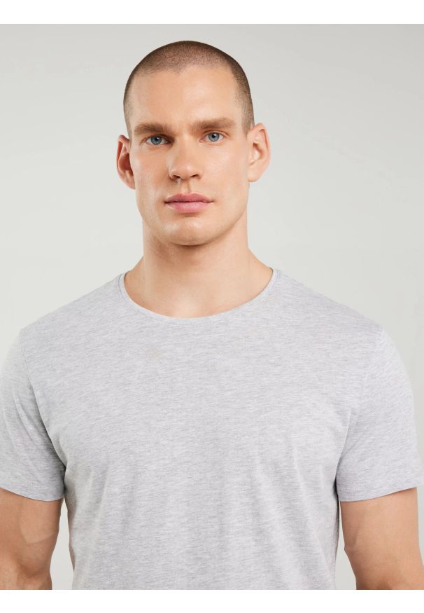 Big-Star - Koszulka męska bawełniana szara Basic 901. Kolor: szary. Materiał: bawełna. Wzór: gładki. Styl: klasyczny