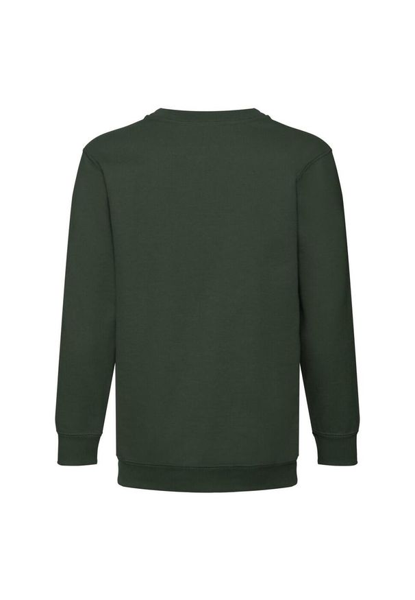 FRUIT OF THE LOOM - Bluza Dziecięca Premium W Komplecie. Kolor: zielony