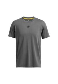 Koszulka męska Under Armour Curry Hvyweight Logo. Kolor: szary