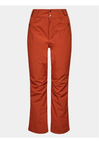 Protest Spodnie narciarskie Cinnamon P4693100 Brązowy Regular Fit. Kolor: brązowy. Materiał: syntetyk. Sport: narciarstwo #1