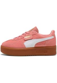 Adidasy Puma Palermo Elevata, Kobiety. Kolor: różowy. Materiał: zamsz, materiał