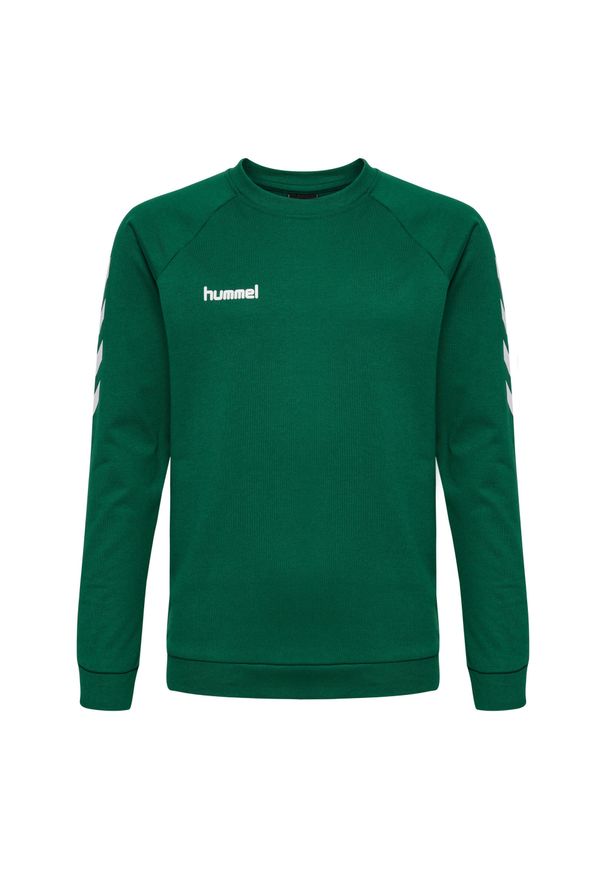 Bluza do piłki ręcznej dla dzieci Hummel hmlGO cotton. Kolor: zielony