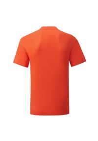 FRUIT OF THE LOOM - Kultowa Koszulka Unisex Dla Dorosłych. Kolor: żółty, pomarańczowy, wielokolorowy