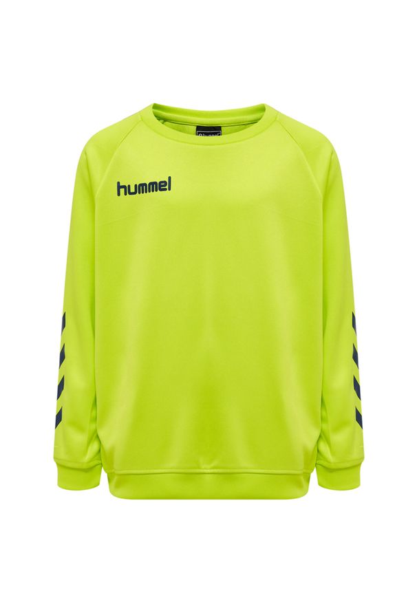 Bluza do piłki ręcznej dla dzieci Hummel Promo. Kolor: zielony, wielokolorowy, żółty. Sport: piłka ręczna