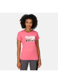 Regatta - Fingal VII damska turystyczna koszulka z krótkim rękawem. Kolor: różowy. Materiał: tkanina. Długość rękawa: krótki rękaw. Długość: krótkie. Sport: turystyka piesza #1