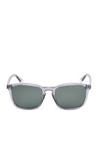 POLAROID - Polaroid Okulary przeciwsłoneczne C PLD 4139/S Szary. Kolor: szary #1
