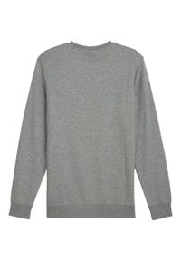 Puma - Bluza Męska Logo Dekolt W Szpic Essentials No 1. Kolor: szary
