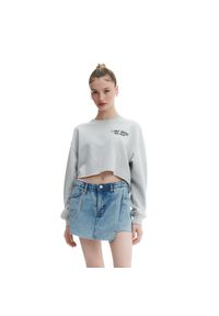 Cropp - Szara bluza z haftem - Jasny szary. Kolor: szary. Materiał: bawełna, dresówka, dzianina. Długość rękawa: długi rękaw. Długość: długie. Wzór: haft #1