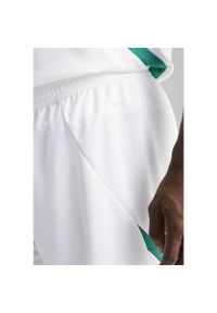 Puma - Męskie szorty Senegal 2025 PUMA White Sport Green. Kolor: biały, wielokolorowy, zielony. Wzór: aplikacja