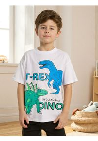 Sinsay - Koszulka oversize z nadrukiem w dinozaury - biały. Kolor: biały. Wzór: nadruk #1