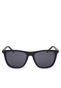 POLAROID - Polaroid Okulary przeciwsłoneczne C PLD 2049/S Czarny. Kolor: czarny #1