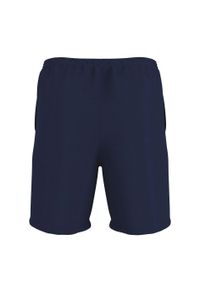 ERREA - Szorty Errea cody. Kolor: niebieski. Materiał: poliester. Długość: krótkie. Sezon: lato. Styl: sportowy. Sport: fitness #2