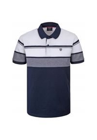 Koszulka Polo - Męska - Pako Jeans - Odcienie Granatów, Pasy. Okazja: na co dzień. Typ kołnierza: polo. Materiał: bawełna. Wzór: paski, prążki. Styl: casual