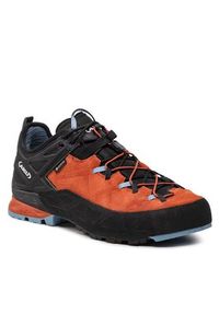 Aku Trekkingi Rock Dfs Gtx GORE-TEX 722 Pomarańczowy. Kolor: pomarańczowy. Materiał: skóra, zamsz. Technologia: Gore-Tex. Sport: turystyka piesza #3