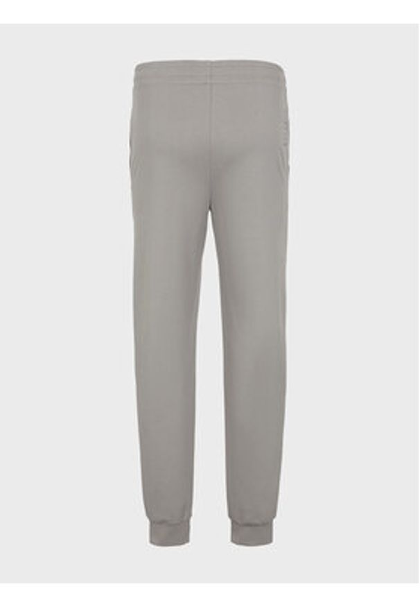EA7 Emporio Armani Spodnie dresowe 8NPP53 PJ05Z 1920 Szary Regular Fit. Kolor: szary. Materiał: bawełna
