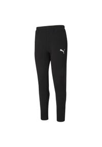 Spodnie męskie Puma EVOSTRIPE. Kolor: czarny. Materiał: materiał. Sport: fitness #1
