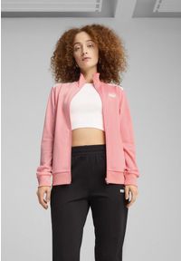 Puma - Damski dres z poliestru PUMA Pink Fruit. Kolor: różowy. Materiał: dresówka, poliester. Wzór: nadruk