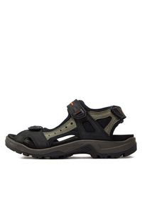 ecco - ECCO Sandały Yucatan Sandal Sanda 6956450034. Kolor: czarny. Materiał: skóra, nubuk