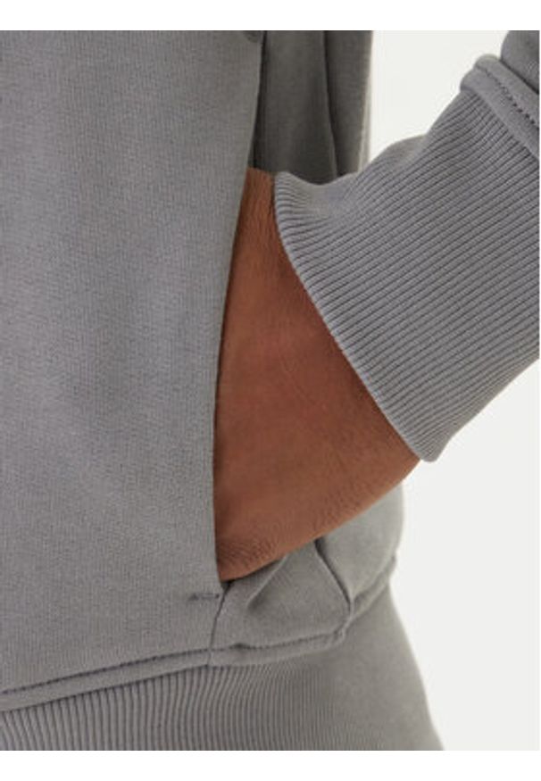 Napapijri Bluza Balis NP0A4HHW Szary Regular Fit. Kolor: szary. Materiał: bawełna