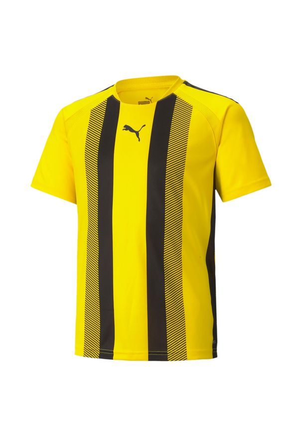 Koszulka dziecięca Puma Team Liga Striped. Kolor: żółty, czarny, wielokolorowy, pomarańczowy. Sport: piłka nożna