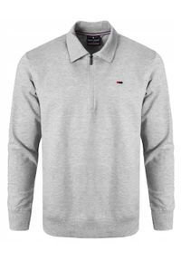 Wygodna Bluza Bawełniana - Pako Jeans - z Kołnierzykiem Polo, Popielata. Typ kołnierza: polo. Kolor: szary. Materiał: wiskoza, bawełna. Styl: klasyczny #1