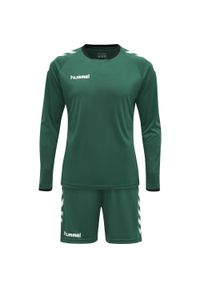 Strój bramkarski męski Hummel hml CORE. Kolor: biały, wielokolorowy, zielony. Sport: fitness, piłka nożna #1