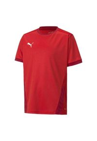Puma - Koszulka Dziecięca TeamGoal. Kolor: czerwony. Sport: turystyka piesza #1