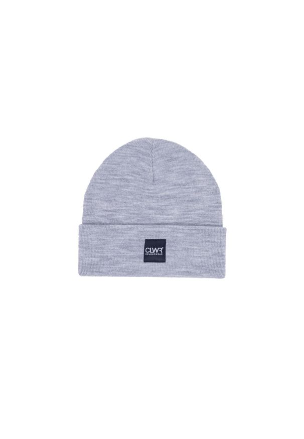 Czapka zimowa Colourwear Puppet. Kolor: szary. Sezon: zima. Styl: sportowy