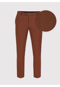 Pako Lorente - Rude gładkie spodnie garniturowe P22WP-6G-028-A-S. Kolor: brązowy. Materiał: wełna, elastan. Wzór: gładki #4