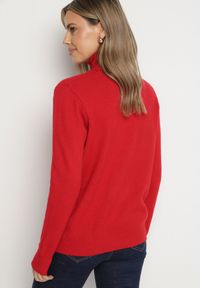 Born2be - Czerwony Klasyczny Golf z Wiskozą i Bawełną Lerella. Okazja: do pracy, na co dzień. Typ kołnierza: golf. Kolekcja: plus size. Kolor: czerwony. Materiał: wiskoza, bawełna. Styl: klasyczny #7